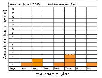 Rain Gauge Chart