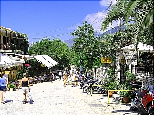 Click to enlarge