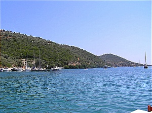 Click to enlarge